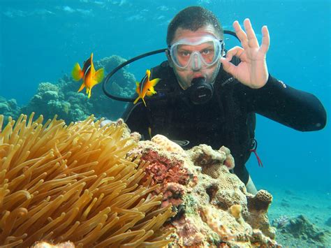 Nautilus Red Sea Scuba Diving Eilat All You Need To Know Before You Go