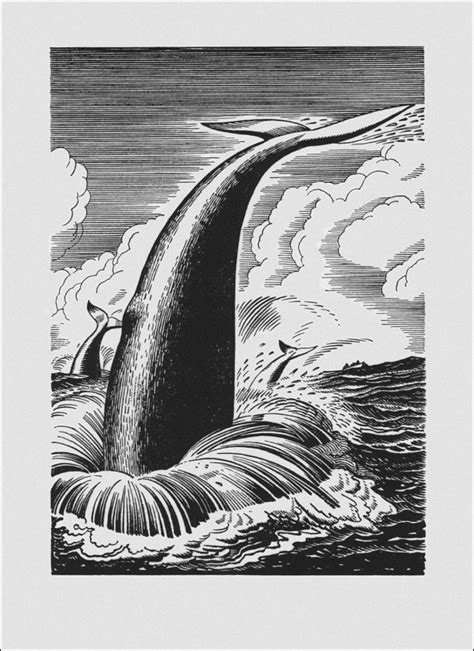 Rockwell Kents Drawings For Moby Dick Or The Whale False Art