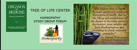 Tlc Gateway To Homeopathy 8 Week Study Group Tree Of Life Center For
