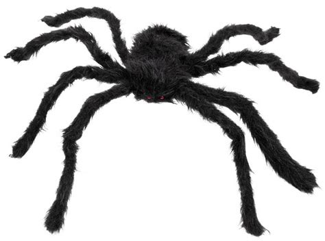 Black Hairy Spider Spiders Webs