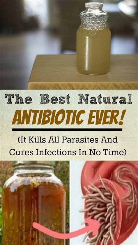 American Doctor Reveals The Most Powerful Natural Antibiotic Natural