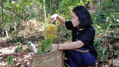 Cantik Dan Mempesona Gadis Dayak Berburu Buah Durian Di Hutan Halaman 3