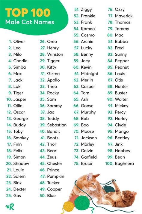 The Most Popular Cat Names In America Cat Names Boy Cat Names Most Photos