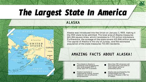 Discover The Largest States By Area All 50 Ranked A Z Animals