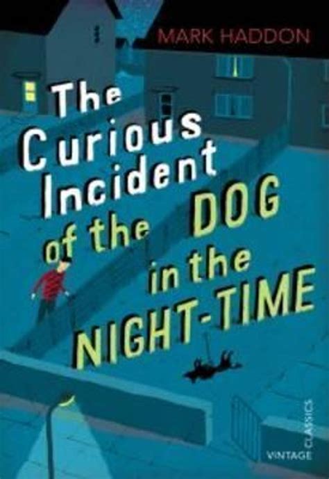 The Curious Incident Of The Dog In The Night Time Vintage Childrens