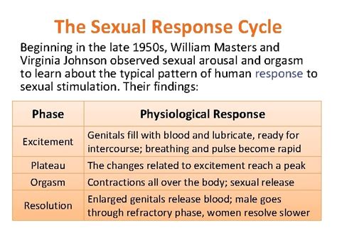 Cfs Sexual Responce Cycle Docx The Sexual Response Hot Sex Picture