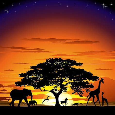 Lion King African Savanna Sunset Pets Lovers