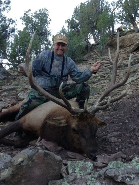 New Mexico Elk Hunts Nm Huntco