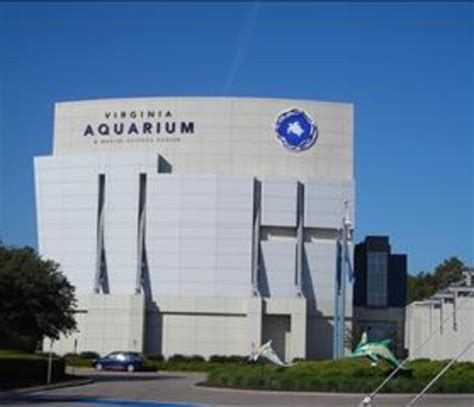 Va Marine Science Museum And Aquarium Aquarium Views