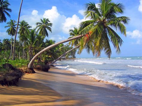 Banco De Imágenes Gratis 10 Fotos De Playas Tropicales Para Tus