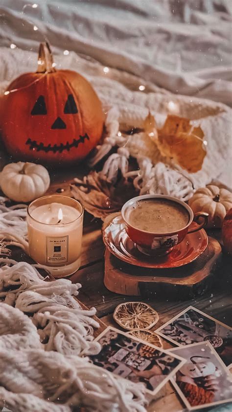 Pumpkin Autumn Fall Cozy Cozytime Cold Outside Wallpaper Free