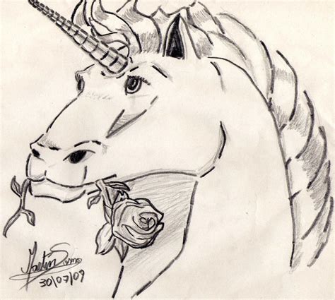 Basic Unicorn By Irish Warrior On Deviantart