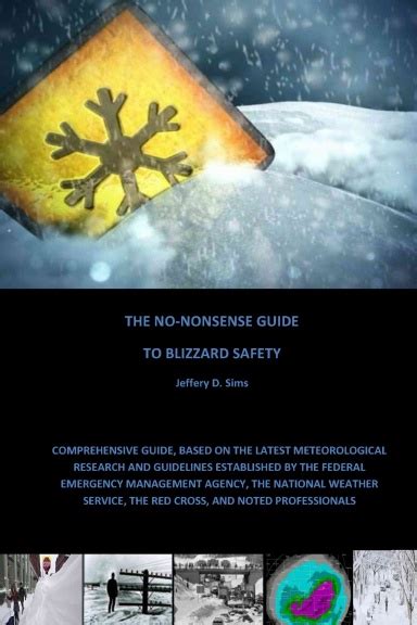 The No Nonsense Guide To Blizzard Safety