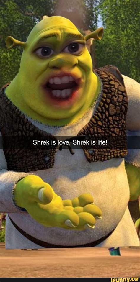 shrek is love shrek is life ifunny brazil