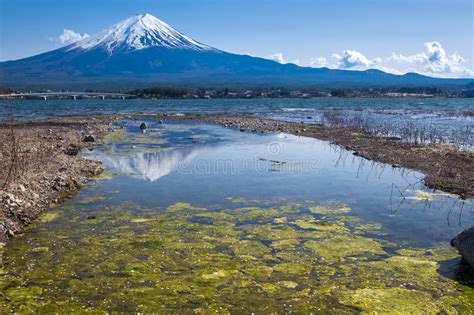 Reflection Of Fujisan Mountain In Spring Kawaguchiko Lake