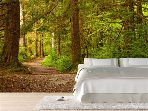 A Bed Sitting On Top Of A Wooden Floor Next To A Forest Filled With Trees