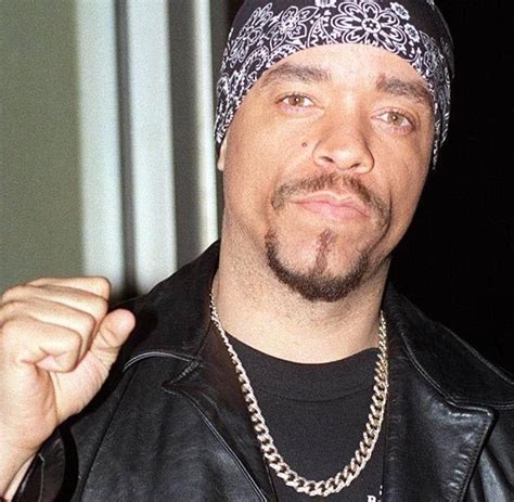 Umstrittenes Mediengesetz Ungarn Zensiert Us Rapper Ice T Im Radio Welt