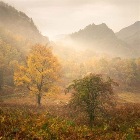 Through The Woods Gallery Simon Baxter Photography Forest