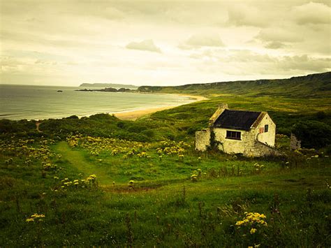 Irish Cottage Stock Photos Pictures And Royalty Free Images Istock