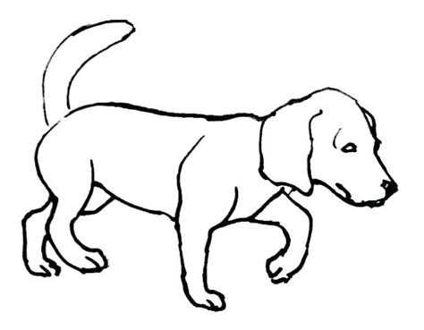 When it comes to coat, the boxer lab mix usually takes after its boxer. Dachshund Puppy Coloring Pages at GetColorings.com | Free ...