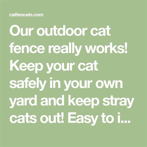 Our Outdoor Cat Fence Really Works Keep Your Cat Safely In Your Own