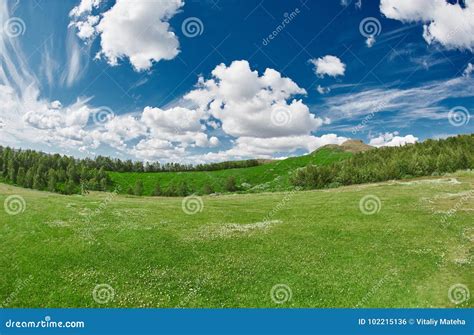 Landscape With Deep Blue Sky With White Clouds Forest And Meadow With