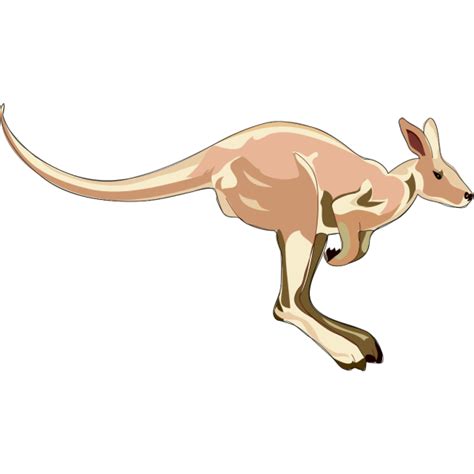 Kangaroo Png Svg Clip Art For Web Download Clip Art Png Icon Arts