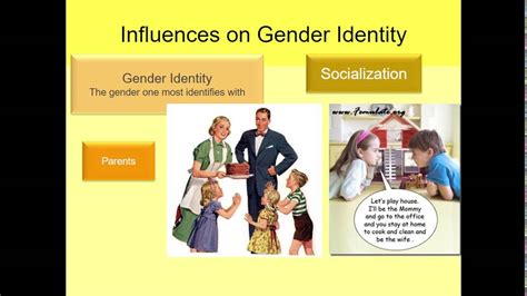Human Sexuality Ch 10 Development Of Gender Identity Youtube