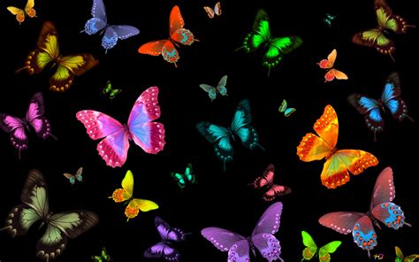 Colorful Butterfly Backgrounds