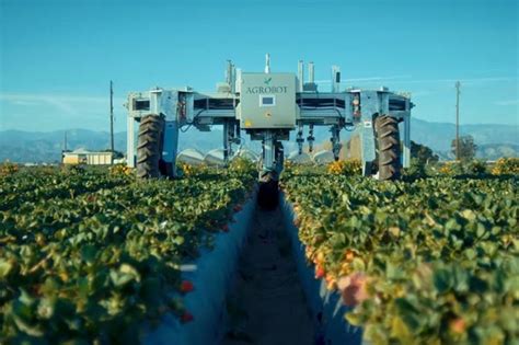 Agrobot Takes Strawberry Harvesting Robots To Us Future Farming
