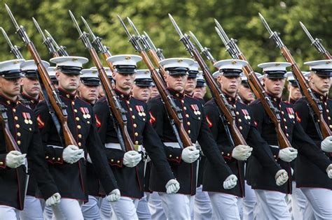 Usmc Ceremonial Guard Marine Corps Us Marine Corps United States