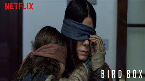 Download Bird Box Explained In Hindi Part 2 Bird Box Ending Explained