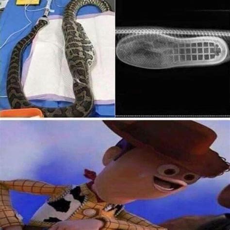 Theres A Boot In My Snake Meme Guy