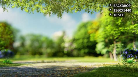 Nature Background For Product Display by Vpmax2007 | VideoHive Remove the background of any image 100% automatically.