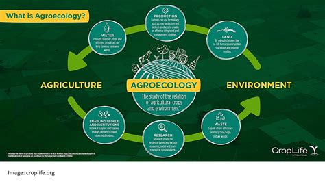 Sustainable And Innovative Agricultural Systems In Focus Agroecology