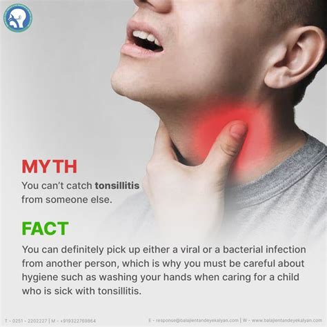 Myths And Facts About Tonsillitis Facts Myths Bacterial Infection