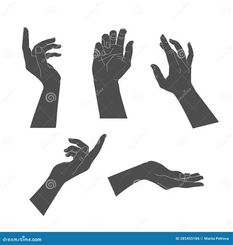 Set Of Human Hands With Different Graceful Gestures Hand Silhouettes