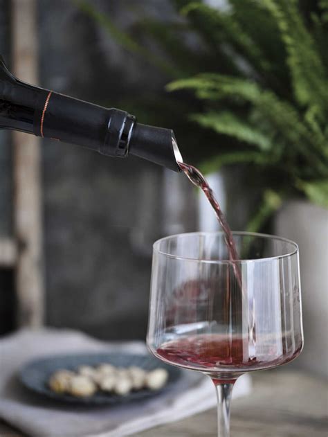 Elegant Wine Finer | Wine Pourer | Nordic House