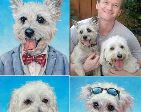 Georgeous Gidget Dog Paintings Dog Portraits Custom Pet Portrait Oil