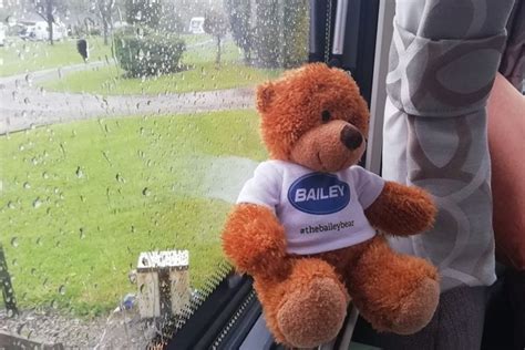 The Bailey Bear Bailey Of Bristol