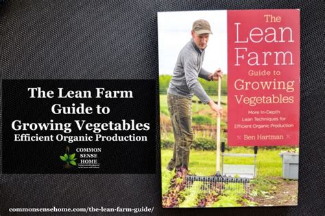 The Lean Farm Guide To Growing Vegetables Efficient Organic Production