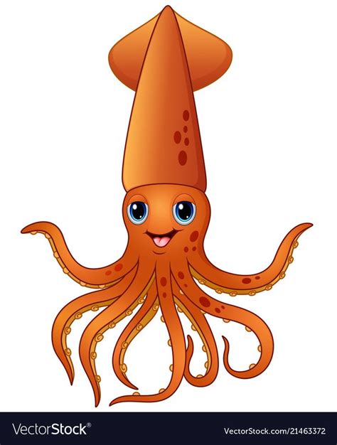 Illustartion Of Squid Cartoon Download A Free Preview Or High Quality