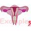 Uterus Embroidery Design Machine Instant Download Commercial Use 