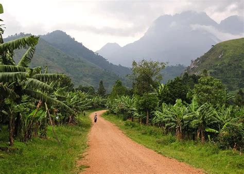 Ugandas 10 National Parks And 4 Wildlife Game Reserves Travelers Guide