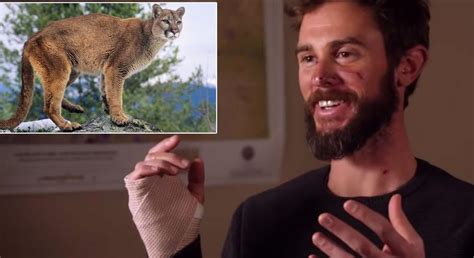 Man Who Survived A Mountain Lion Attack By Choking The Animal To Death