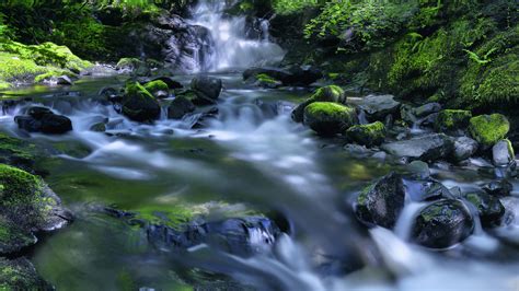 Kirkton Glen Waterfall Stream 5k Wallpapers Hd Wallpapers Id 24506