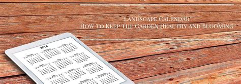 Landscape Calendar—how To Keep The Garden Healthy And Blooming