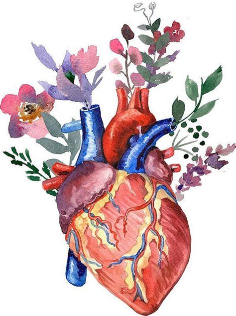pin by alex digital on draw draw draw in 2020 watercolor heart anatomy art anatomical