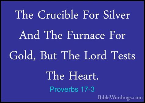 Proverbs 17 Holy Bible English