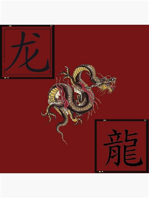 Chinese Dragon Poster For Sale By Yukicorp Redbubble